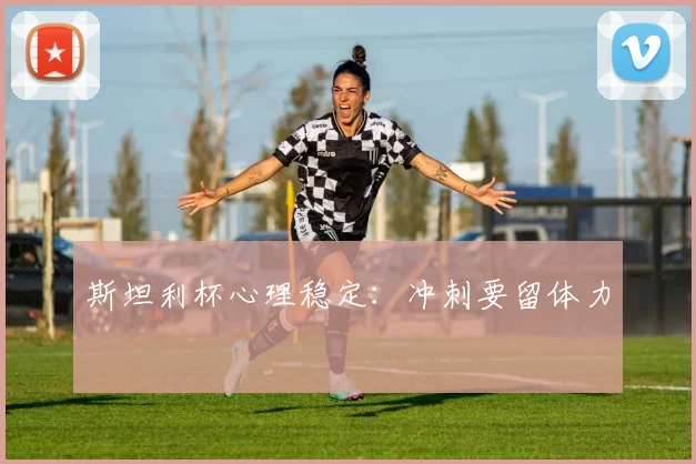 斯坦利杯心理稳定：冲刺要留体力
