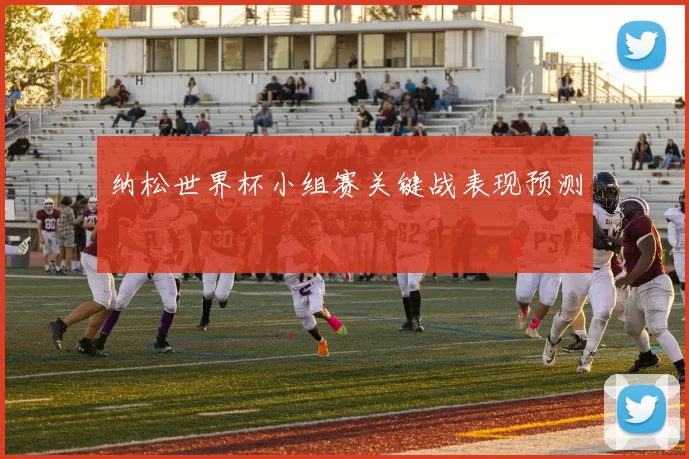 纳松世界杯小组赛关键战表现预测