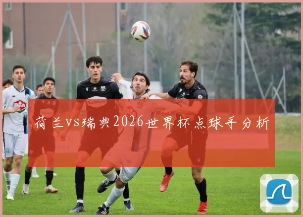荷兰vs瑞典2026世界杯点球手分析