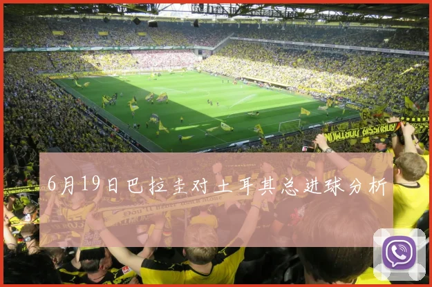 6月19日巴拉圭对土耳其总进球分析