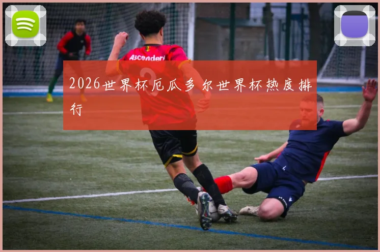 2026世界杯厄瓜多尔世界杯热度排行