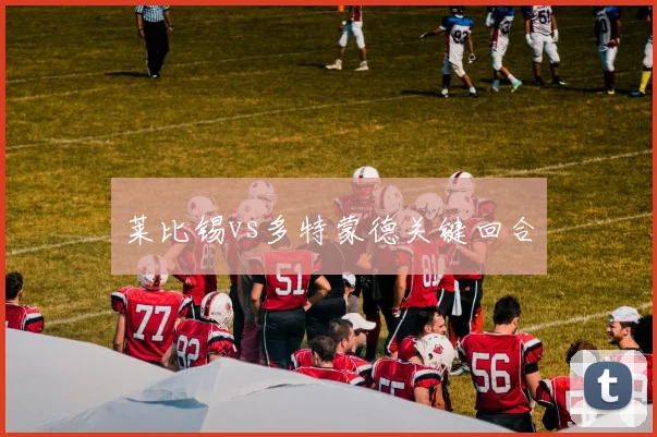 莱比锡vs多特蒙德关键回合