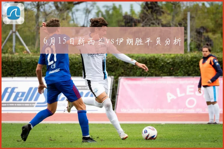 6月15日新西兰vs伊朗胜平负分析