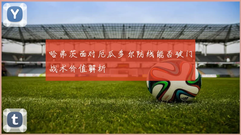 哈弗茨面对厄瓜多尔防线能否破门战术价值解析