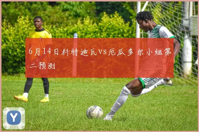 6月14日科特迪瓦vs厄瓜多尔小组第二预测