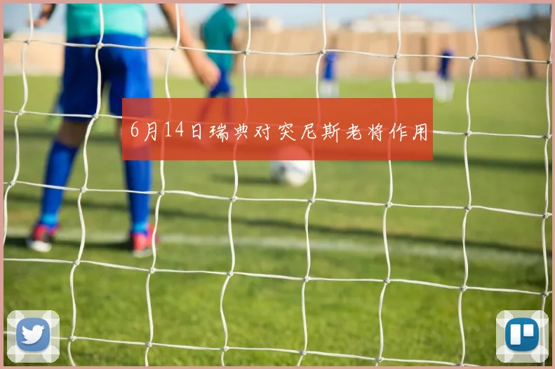 6月14日瑞典对突尼斯老将作用