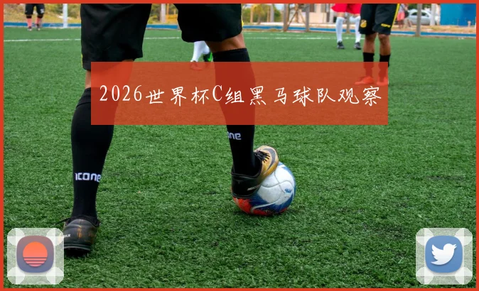 2026世界杯C组黑马球队观察