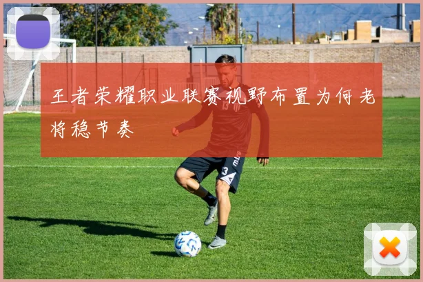 王者荣耀职业联赛视野布置为何老将稳节奏